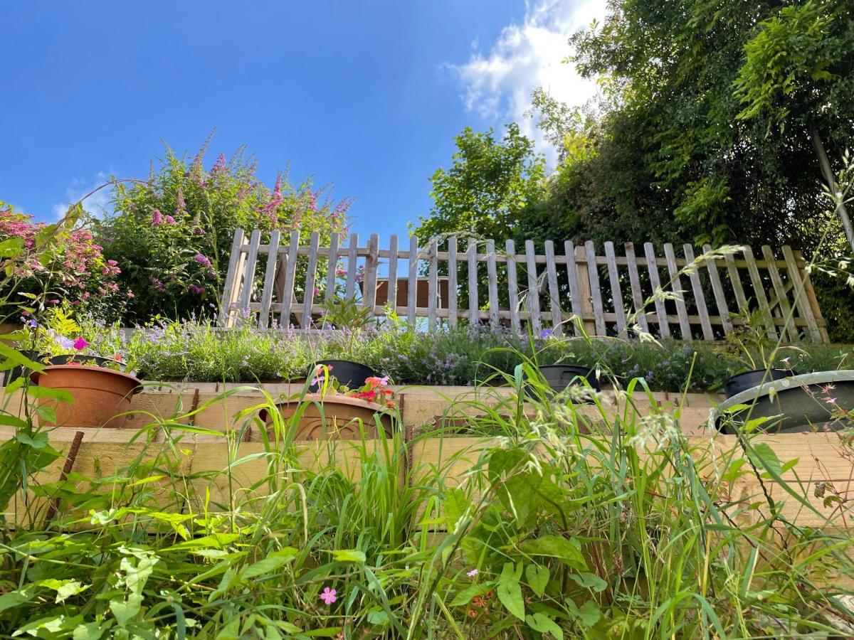 Tilly'S Cottage Westbury  Exterior foto